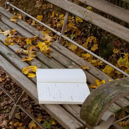 Il Vecchio Milipano * Montepulciano Stazione